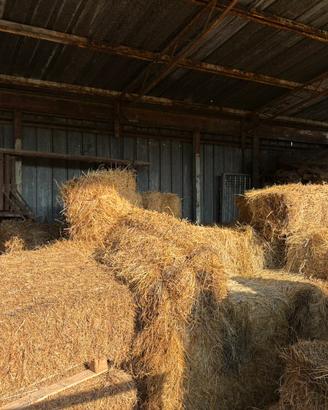 Ballette di fieno misto erba medica