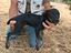 Immagine 4