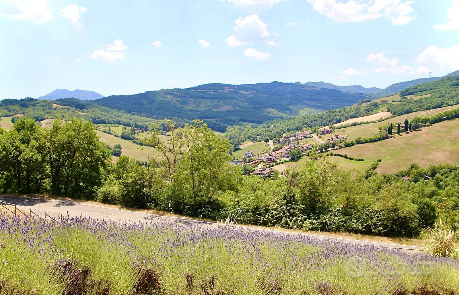 Terreno agricolo - Vista 4
