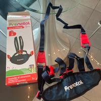 Bretelle di sicurezza