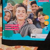 all ombra del sicomoro