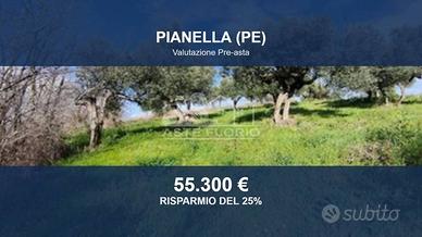 Immobile in asta di 41362 m² a Pianella