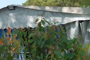 Roulotte stanziale