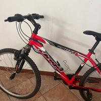 Bicicletta nuzzi 7005 class