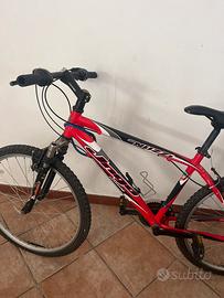 Bicicletta nuzzi 7005 class