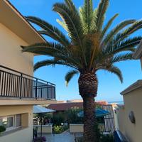 Splendida Villa lato mare