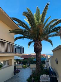 Splendida Villa lato mare