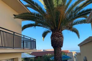 Splendida Villa lato mare