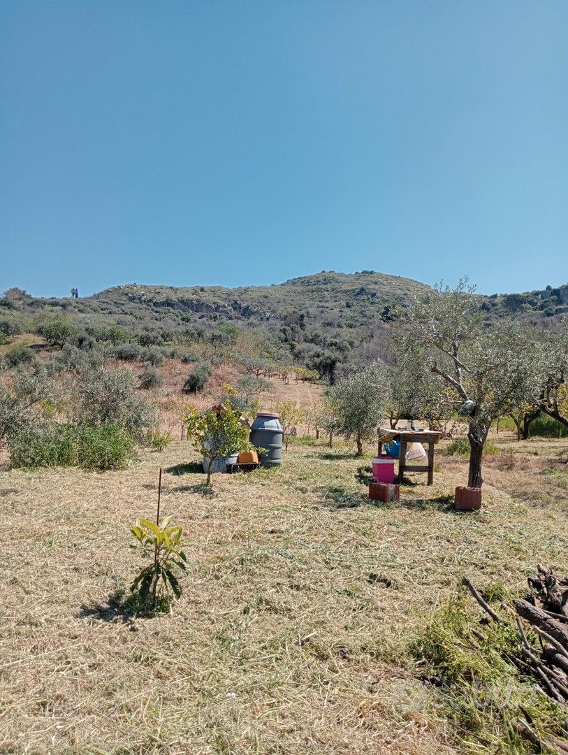 Terreno verde agricolo - Vista 5