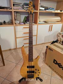 Ibanez SR905 + Mono M80