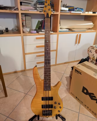 Ibanez SR905 + Mono M80