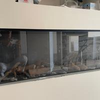 CAMINO A GAS METANO GLOBAL 120, FRONTALE CON VETRO