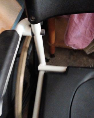 Sedia a rotelle