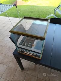 teca per geco