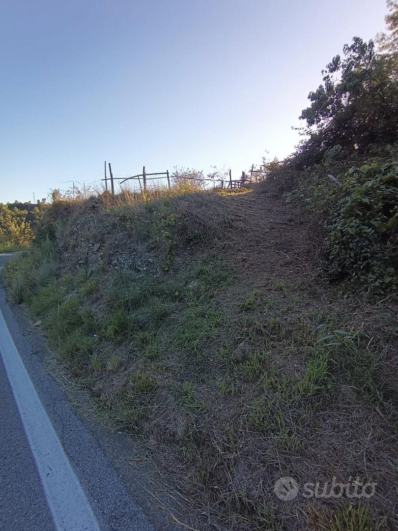 Terreno agricolo carrabile a sestri levante - 2.10 - Vista 4