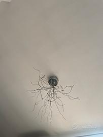 Lampadari