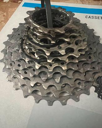 PACCO PIGNONI SHIMANO