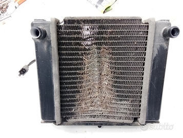 Radiatore Scooter Kymco People 300 Usato Parte Ant