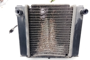 Radiatore Scooter Kymco People 300 Usato Parte Ant