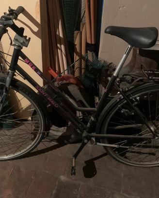 Bicicletta city mtb- donna