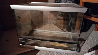 Terrario in vetro 51x37x34