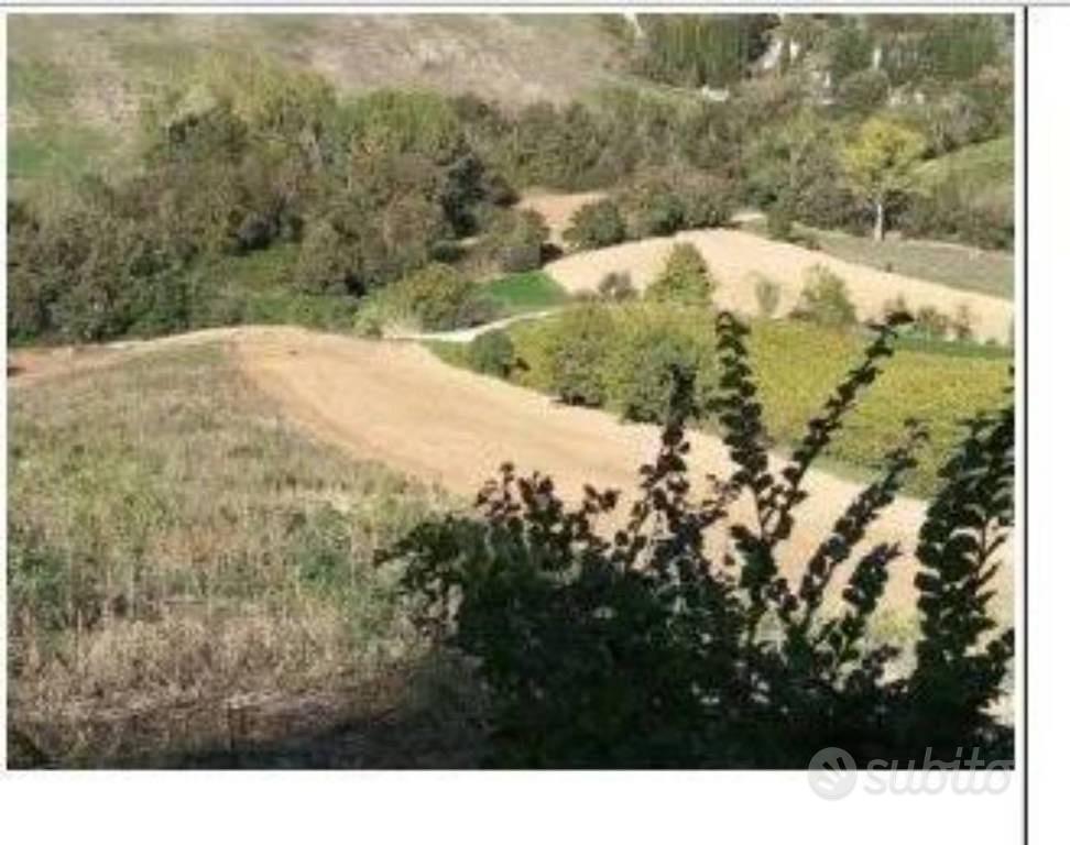 Immobile in asta di 85145 m² a Ripatransone - Vista 3