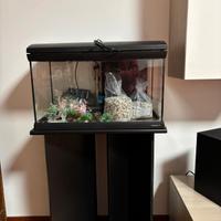 acquario per i pesci