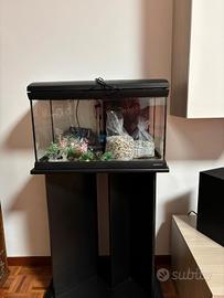 acquario per i pesci