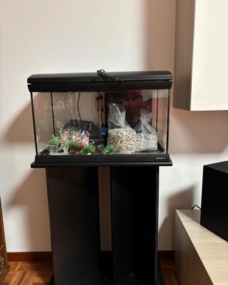 acquario per i pesci