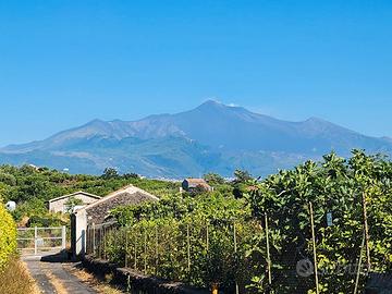 Casetta con Giardino di 1550 mq