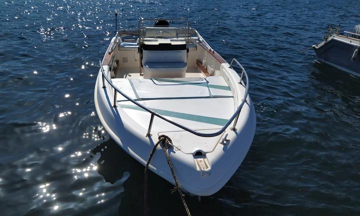 Barca open saver 540 Mercury 40/60