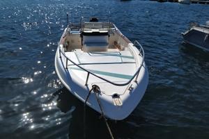 Barca open saver 540 Mercury 40/60