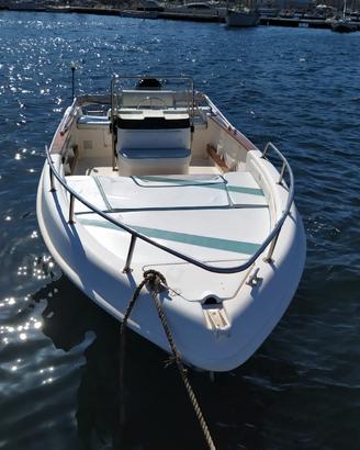 Barca open saver 540 Mercury 40/60