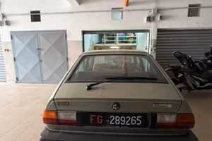 alfa sud 1.5 quadrifoglio oro