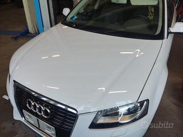Cofano AUDI A3 del 2013