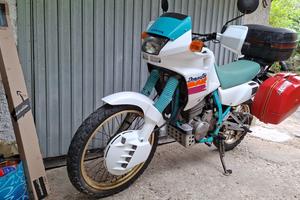 Honda NX 650 dominator 1990 e valige Givi monokey