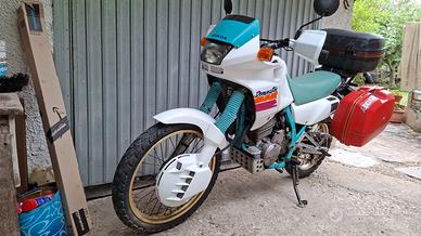 Honda NX 650 dominator 1990 e valige Givi monokey