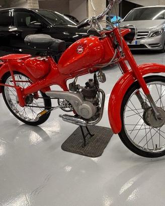 MOTOM 48 4T SL