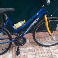 bicicletta