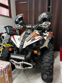 Quad renegade 500