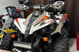 Quad renegade 500