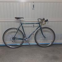 Bicicletta da corsa olmo