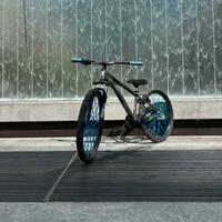 Wheelie bike 26