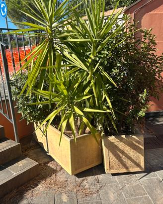 Vaso in cemento