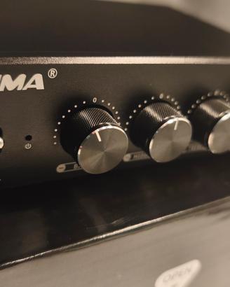 AIYIMA A01 TPA3116