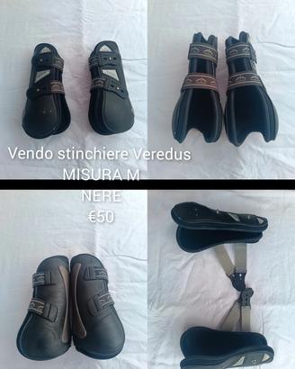 stinchiere Veredus 