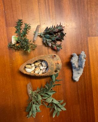 Fondo per acquario