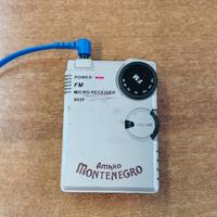 RADIOLINA AMARO MONTENEGRO