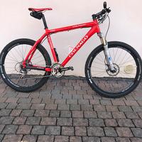 Bici mtb
