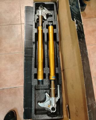 Forcelle r e t ohlins Nix 43mm oro bmw s1000rr